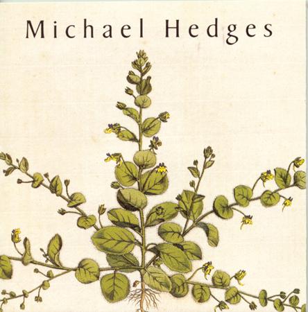 Michael Hedges - TAPROOT - Zortam Music