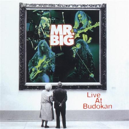 01.Mr. Tambourine Man - Live at Budokan - Zortam Music