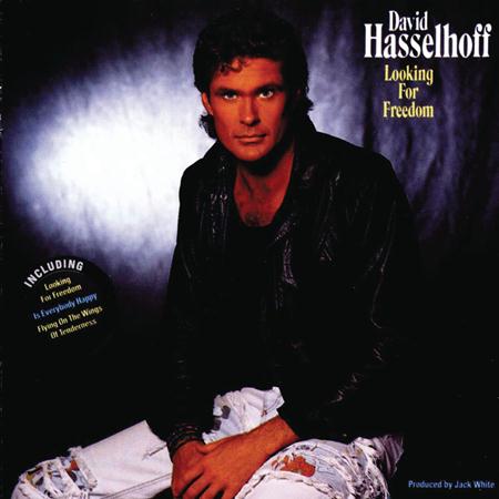 David Hasselhoff - Looking For Freedom 2011 Lyrics - Zortam Music