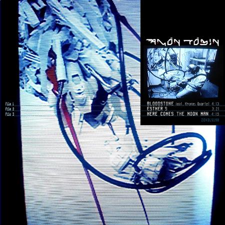 Amon Tobin - Bloodstone - Zortam Music