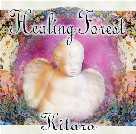 N - Healing Forest - Zortam Music