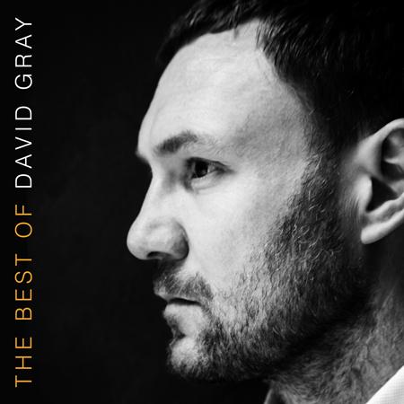 David Grey - The Best Of David Gray - Zortam Music