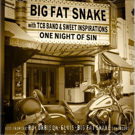 Big Fat Snake - One Night of Sin - Zortam Music