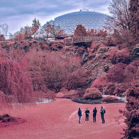 The Zolas - Chart Radio 2015 Issue 334 June - Zortam Music