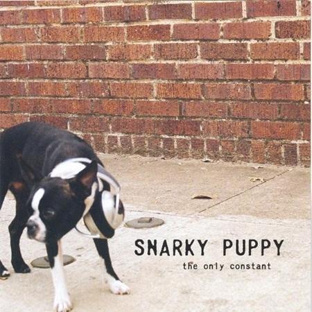 Snarky Puppy - The Only Constant - Zortam Music