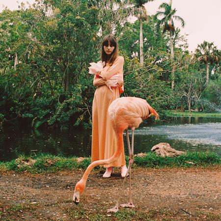 Faye Webster - KINGSTON - Zortam Music