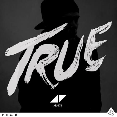 Avicii - Always on the Run Lyrics - Zortam Music