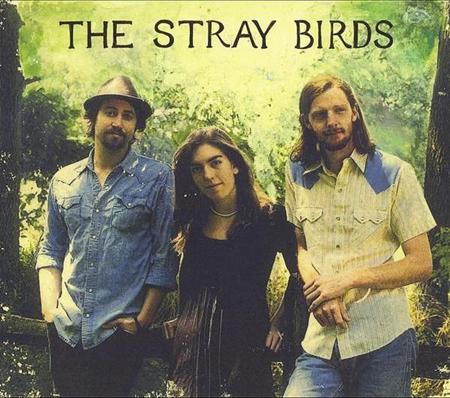 The Stray Birds - Dream in Blue Lyrics - Zortam Music