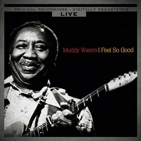 Muddy Waters - Muddy Waters At Newport / Muddy Waters Live - Zortam Music