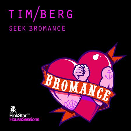 Tim Berg - Seek Bromance (Chris Reece & Avicii Vocal Soulpost Mashup) Lyrics - Zortam Music