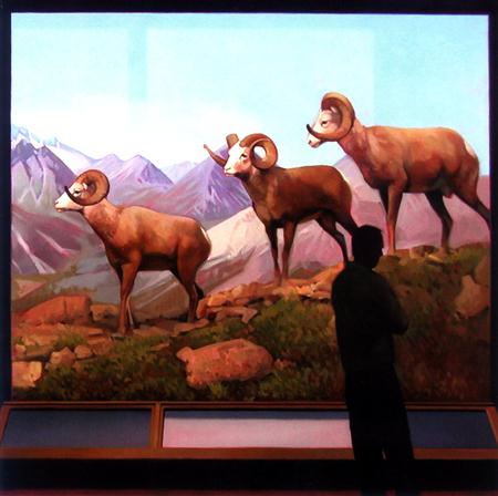 The Life And Times - The Magician - Zortam Music