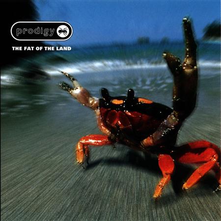 Prodigy - The Fat Of The Land - Zortam Music