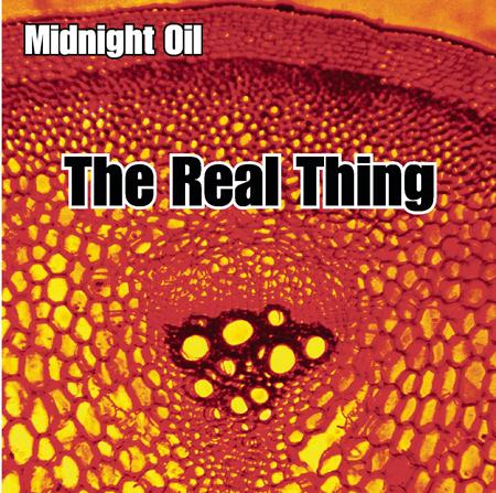 Midnight Oil - Chiko Locallo - Zortam Music