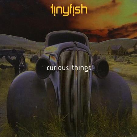Tinyfish - Curious Things - Zortam Music