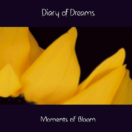 Diary Of Dreams - End Lyrics - Zortam Music