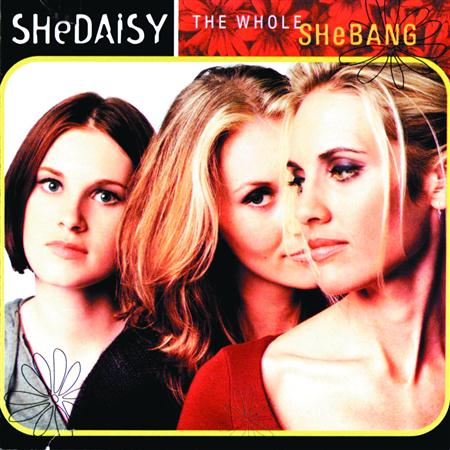 Shedaisy - SheDaisy - Little Goodbyes(1) Lyrics - Zortam Music
