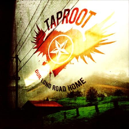 TAPROOT - You