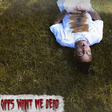 Lil Skies - Opps Want Me Dead Lyrics - Zortam Music