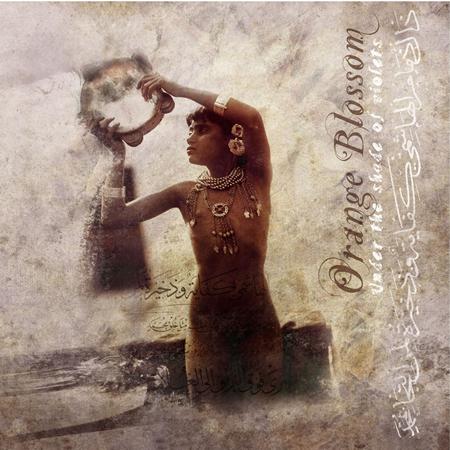 Orange Blossom - Under the Shade of Violets - Zortam Music