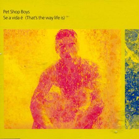 Pet Shop Boys - Se A Vida I (That