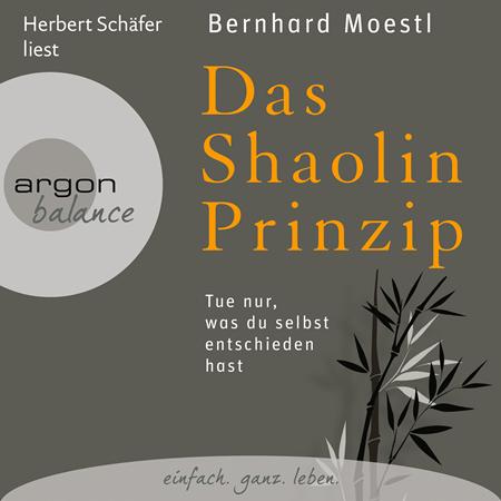 Bernhard Moestl - Das Shaolin-Prinzip - Tue nur, was du selbst entschieden hast, Kapitel 21 Lyrics - Zortam Music