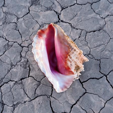 The Killers - Money On Straight Lyrics - Zortam Music