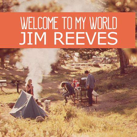 Jim Reeves - Make Me Wonderful In Her Eyes Lyrics - Zortam Music