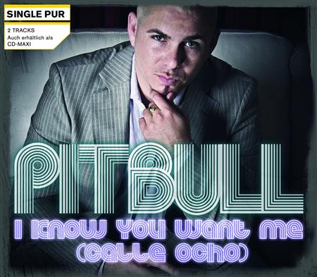Pitbull - Calle Ocho Takeover - Zortam Music
