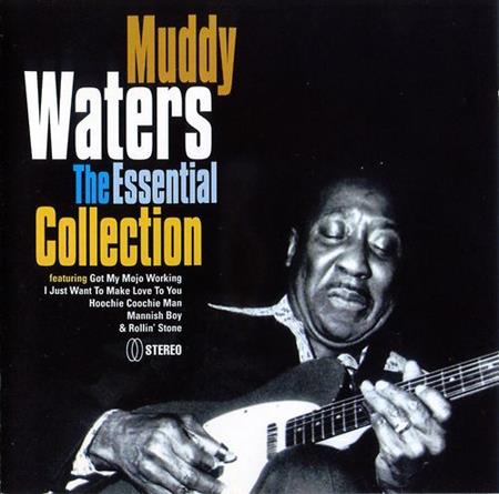 Muddy Waters - Can