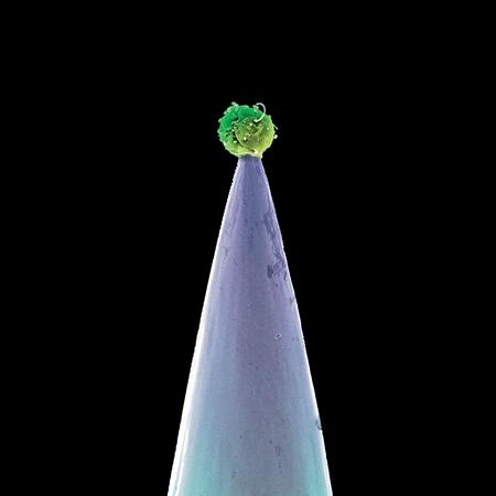 Peter Gabriel - New Blood [Disc 2] - Zortam Music