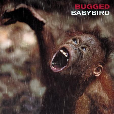 Babybird - Out Of Sight Lyrics - Zortam Music