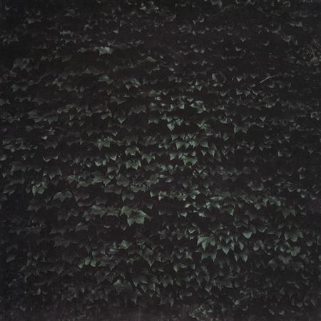 Popol Vuh - THE ORDER OF THINGS - Zortam Music