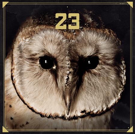 23 - Haus Aus Gold Lyrics - Zortam Music