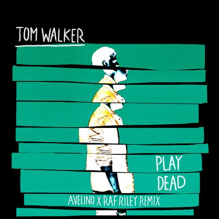 Tom Walker - Play Dead Lyrics - Zortam Music