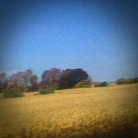 Sun Kil Moon - I Love My Dad Lyrics - Zortam Music