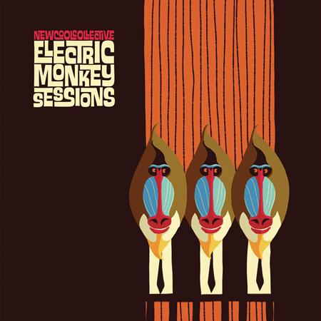 New Cool Collective - Electric Monkey Sessions - Zortam Music