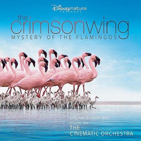 The Cinematic Orchestra - The Crimson Wing Mystery Of The Flamingos - Zortam Music
