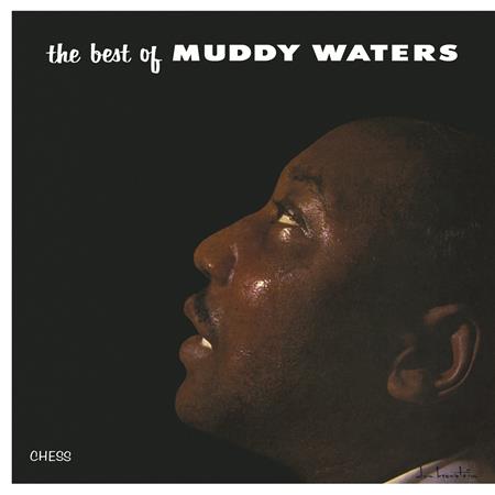 Muddy Waters - Fathers & Sons [chess] - Zortam Music