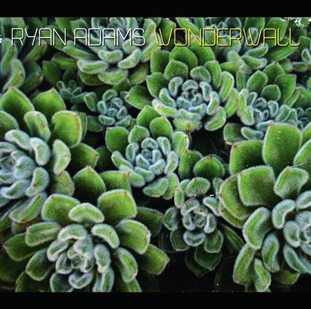 Ryan Adams - Wonderwall [Single] - Zortam Music