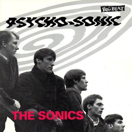 The Sonics - 1001 Songs You Must Hear Before You Die - Zortam Music