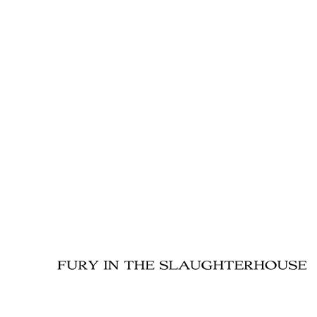 Fury in the Slaughterhouse - Fury and the Slaughterhouse - Peters Best - Zortam Music