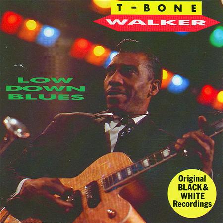 T - Bone Walker - Long Skirt Baby Blues Lyrics - Zortam Music