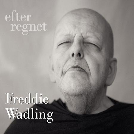 Freddie Wadling - Efter Regnet - Zortam Music