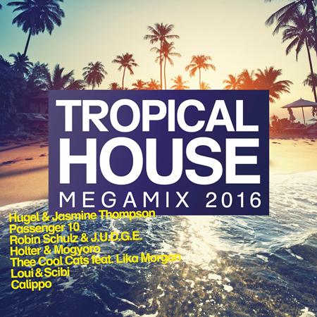 Robin Schulz - Tropical House Megamix 2016 - Zortam Music