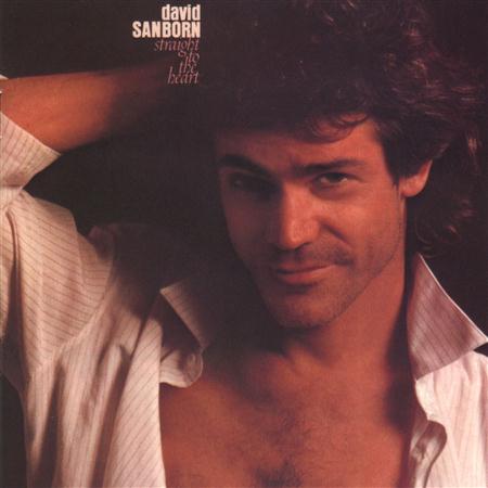 DAVID SANBORN - Straight to the Heart Lyrics - Zortam Music