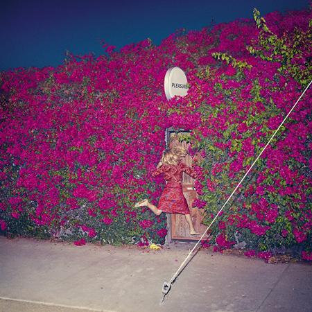 Feist - Pleasure - Zortam Music