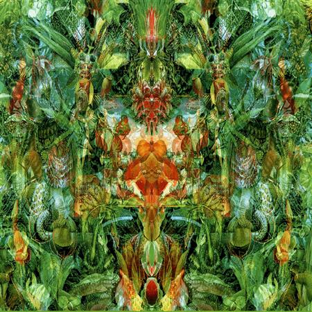 Cranberries - Emerald Aether Shape Shifting/reconstructions Of Irish Music - Zortam Music