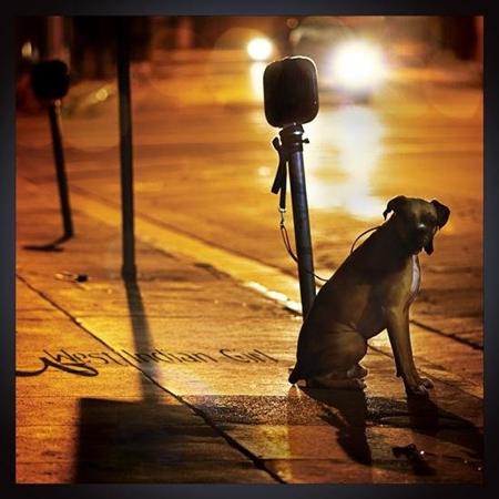 West Indian Girl - Sofia Lyrics - Zortam Music