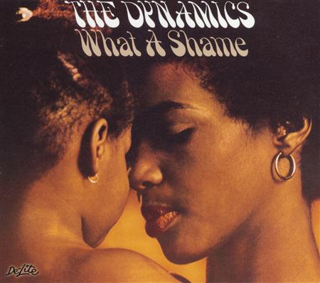 The Dynamics - What a Shame [Bonus Tracks] - Zortam Music