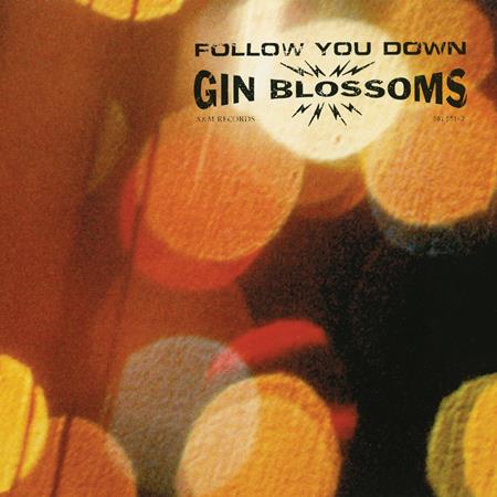 Gin Blossoms - Follow You Down - Edit Lyrics - Zortam Music